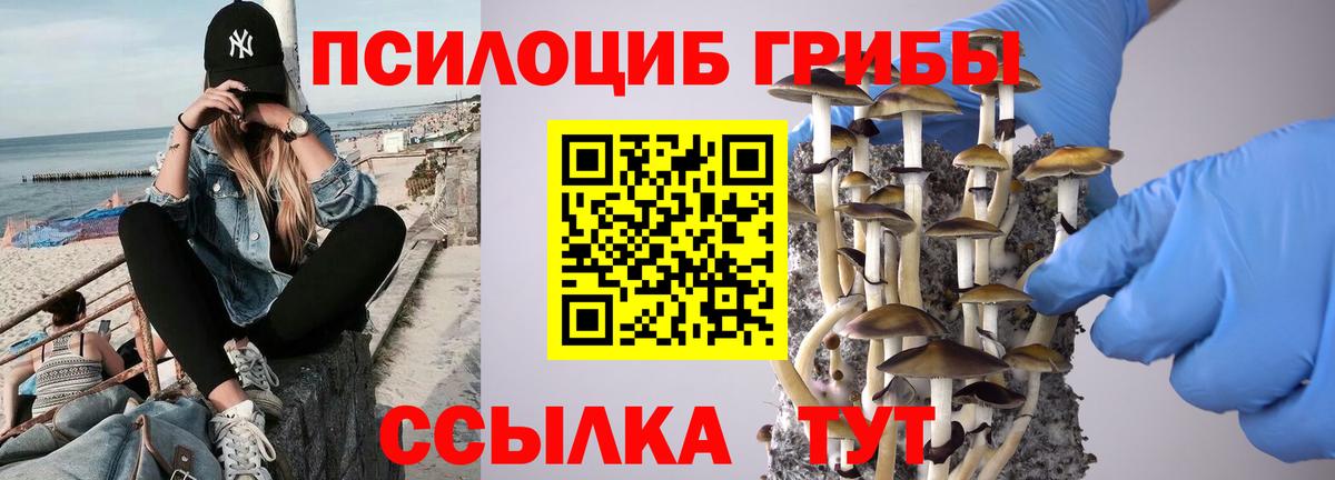Павловский Посад  Галлюциногенные грибы Cubensis  дарнет шоп  Вход с VPN  Галлюциногенные грибы Cubensis 